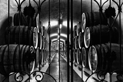Massandra Winery, Crimea
