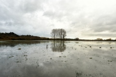 Flooded fields in Dorset …