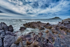 Worms head from the beach